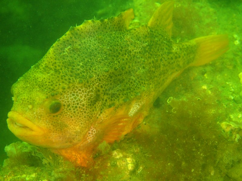 2014-04-26 11-05-45.JPG